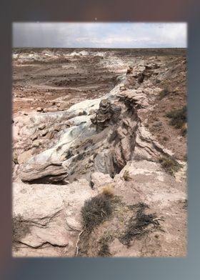 Petrified Forest 10