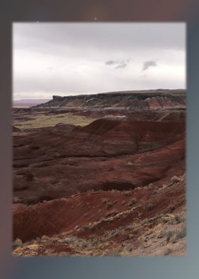 Petrified Forest 3