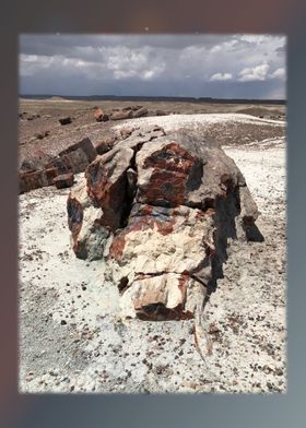 Petrified Forest 22