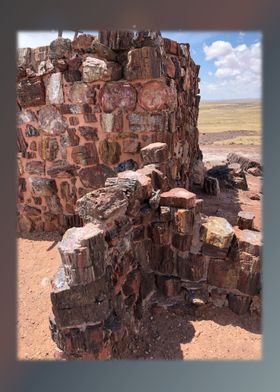 Petrified Forest 8