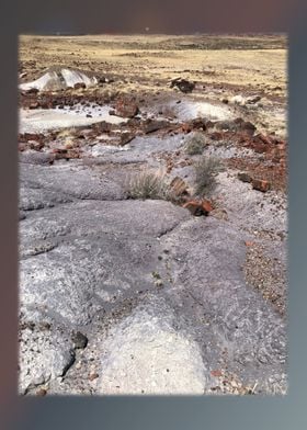 Petrified Forest 2