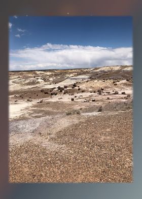 Petrified Forest 33