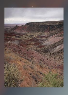 Petrified Forest 6