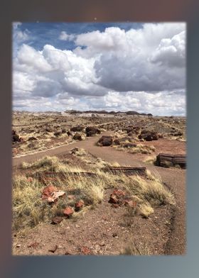 Petrified Forest 12