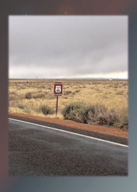 Petrified Forest 1