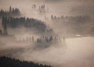 FRIO ENTRE LA NIEBLA