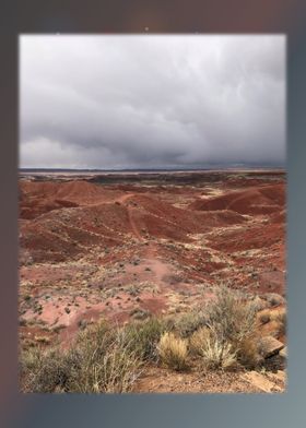 Petrified Forest 16