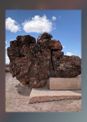 Petrified Forest 5