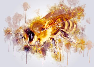 Honey Bee