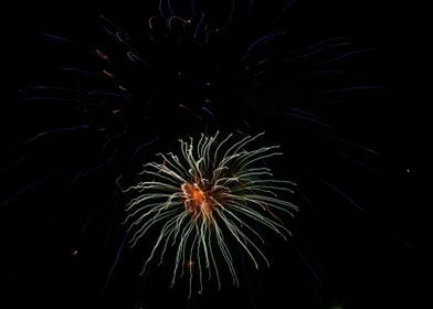 Firework Bursts 