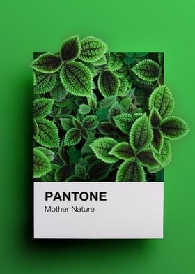 Pantone Mother Nature