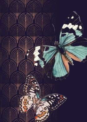 butterfly