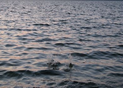 Calm Waters On Lake