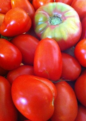 Farm Fresh Tomatoes