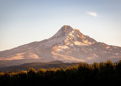 Mt Hood