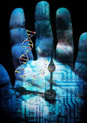 DNA modifications