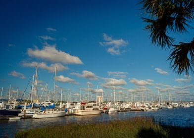 Boats And Palmetto