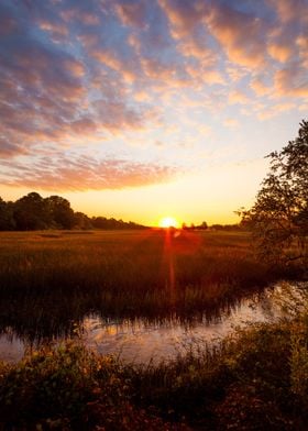 Marsh Sunrise