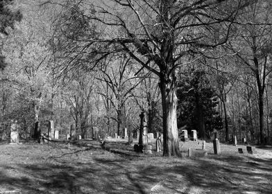 Forgotten Forest Cemetery