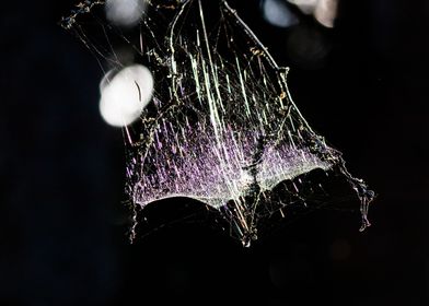 Spiders forest chandelier