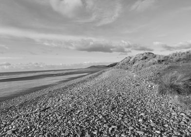 Ynyslas Beach