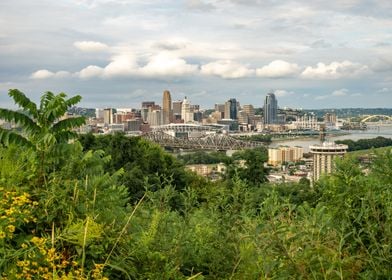 The Cincinnati Skyline