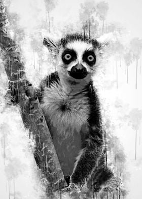 Lemur BW