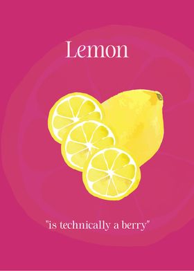 A Lemon is a Fruit