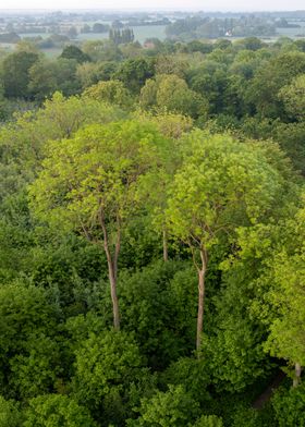 Aerial Landscape