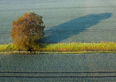 Aerial Landscape