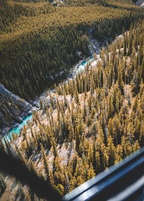 Creek in canadian forrest