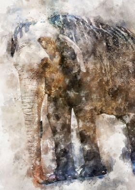 Elephant Watercolor