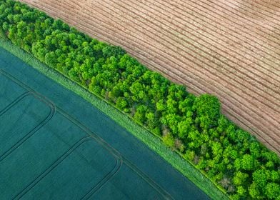 Aerial Landscape