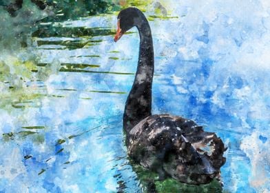 Black Swan