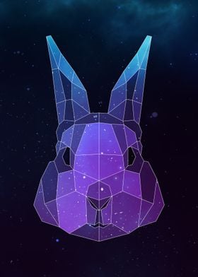 Galaxy Bunny