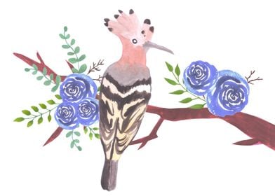 Hoopoe on a floral branch