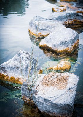 Stones of the wise