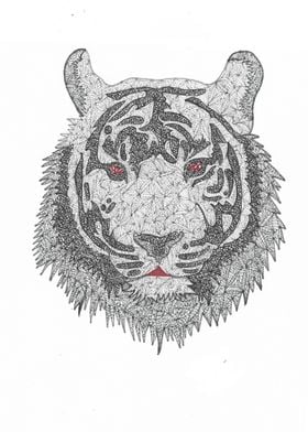 Royal bengal Tiger