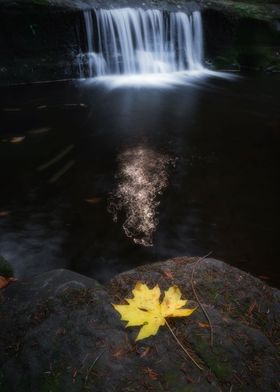 Waterfall and autumn leaf