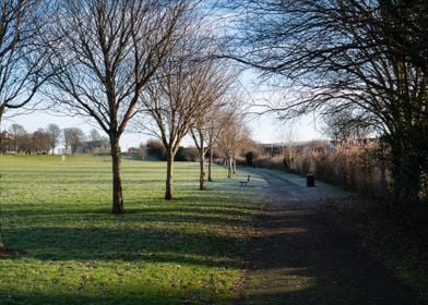 Magdalen Green in Autumn 