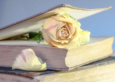 Book and Rose