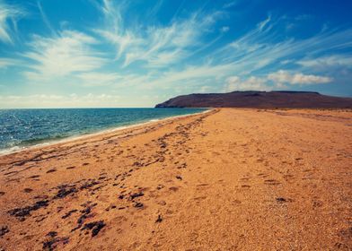 Wild Desert Sand Beach