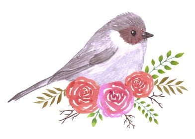 Bushtit bird watercolor 