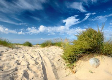 Baltic Sea Shore Sandy Bea