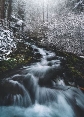 Winter wonderland flows