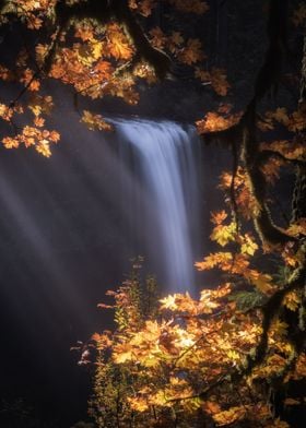 Autumn at Silver Falls