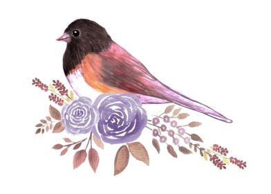 Junco with flowers