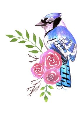 blue jay with pink roses