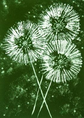 Spring Dandelions 