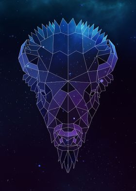 Galaxy Bison